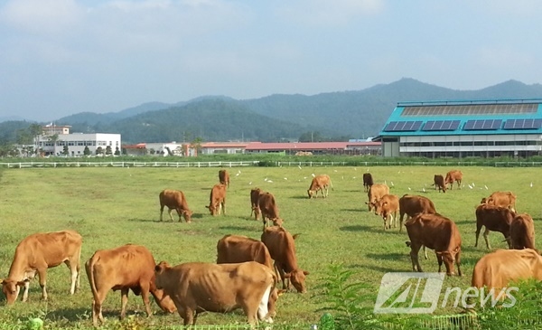 전남, 미래 축산모델 개발 박차